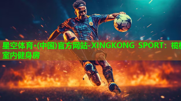 星空体育·(中国)官方网站-XINGKONG SPORT：榄核室内健身房