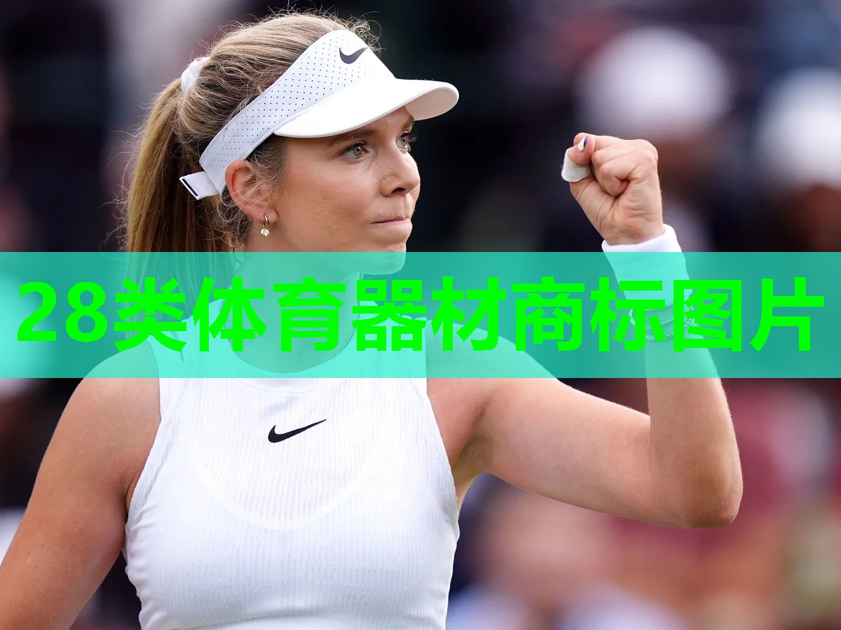 28类体育器材商标图片