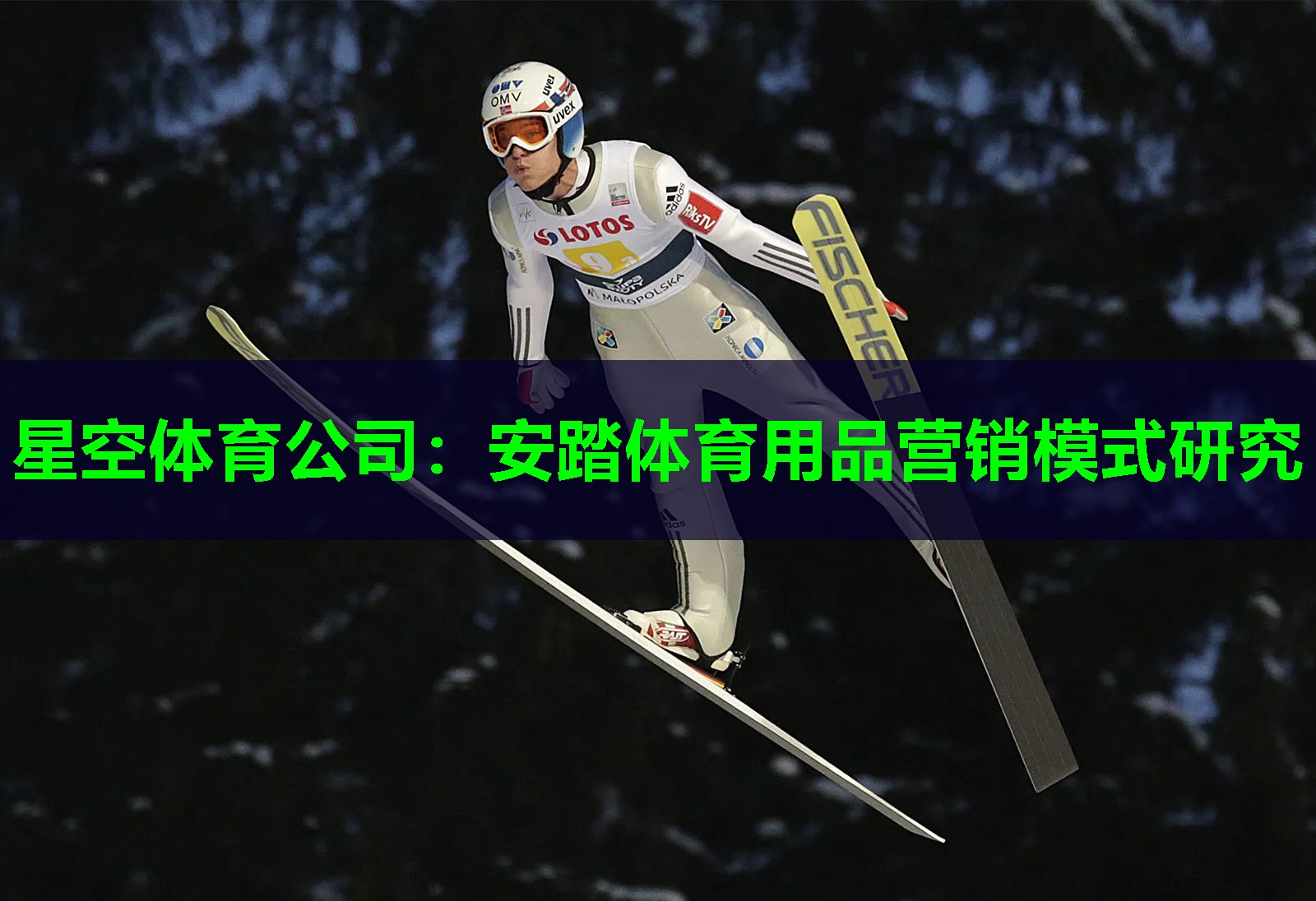 星空体育公司：安踏体育用品营销模式研究