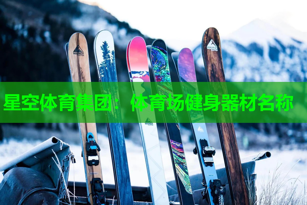 星空体育集团：体育场健身器材名称