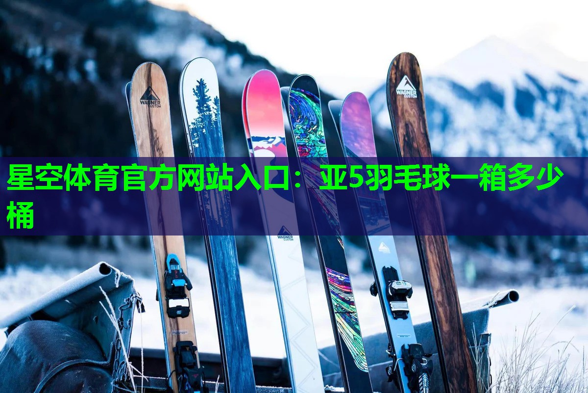 星空体育官方网站入口：亚5羽毛球一箱多少桶