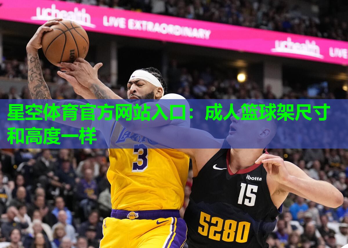 星空体育官方网站入口：成人篮球架尺寸和高度一样