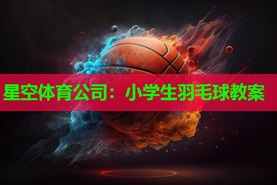星空体育公司：小学生羽毛球教案