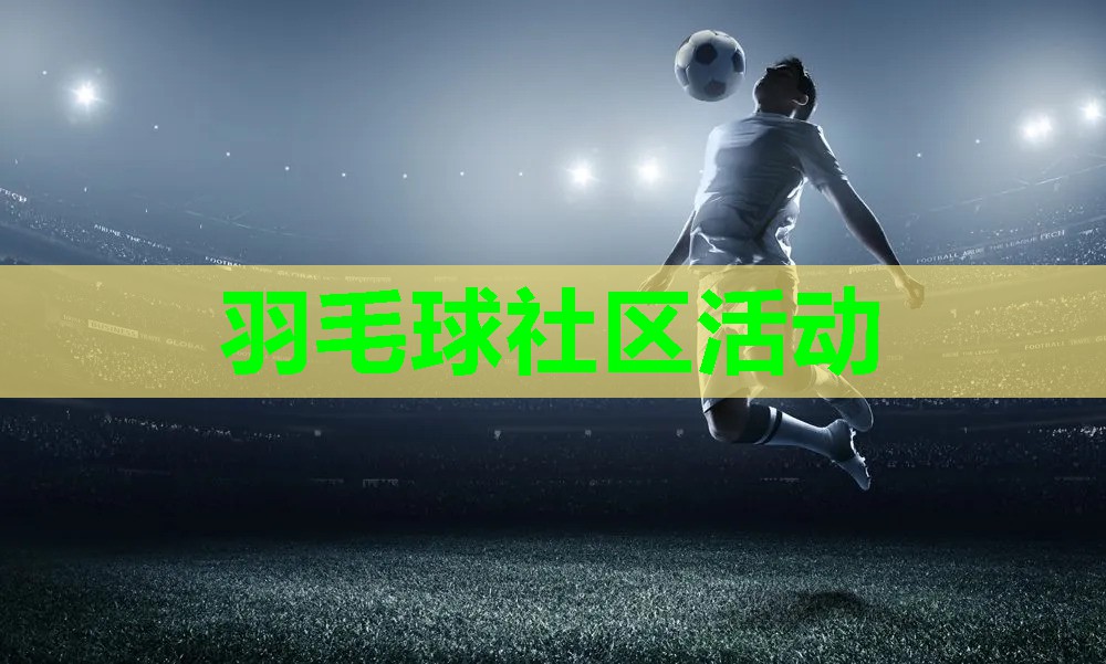 羽毛球社区活动