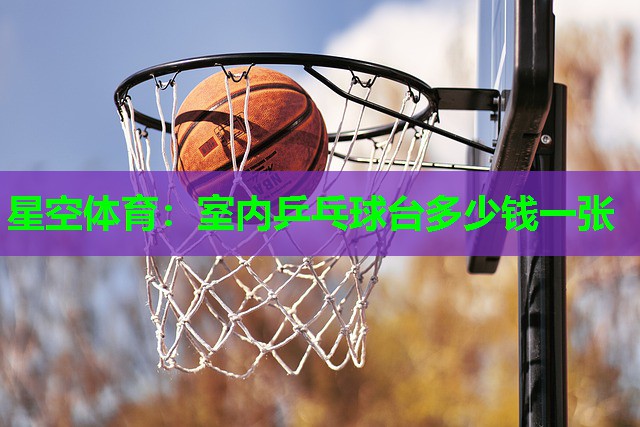 星空体育：室内乒乓球台多少钱一张