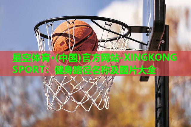 星空体育·(中国)官方网站-XINGKONG SPORT：健身路径名称及图片大全