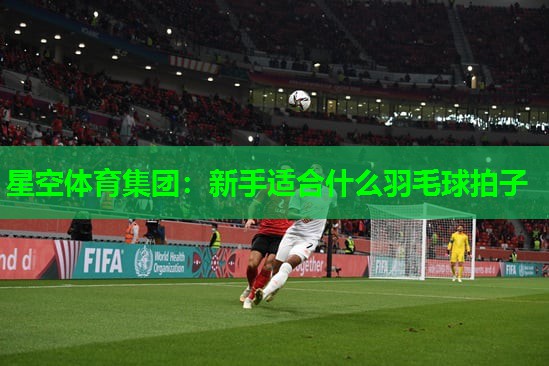 星空体育集团：新手适合什么羽毛球拍子