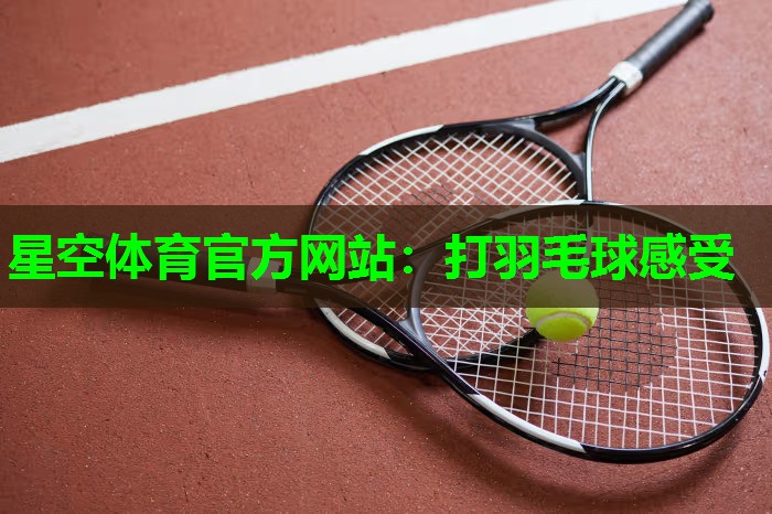 打羽毛球感受 打羽毛球感受