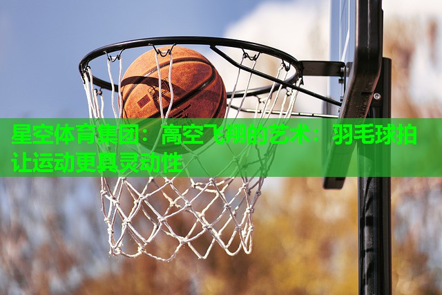 高空飞翔的艺术:羽毛球拍让运动更具灵动性 高空飞翔的艺术:羽毛球拍让运动更具灵动性