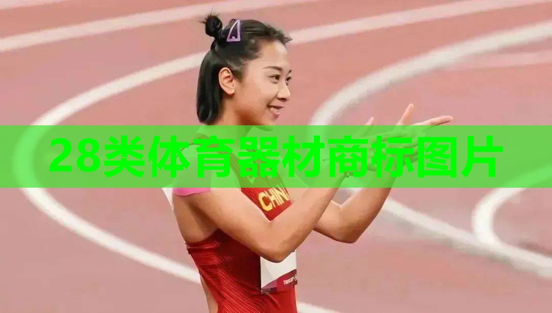 28类体育器材商标图片 28类体育器材商标图片