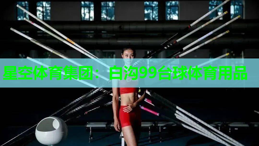 白沟99台球体育用品 白沟99台球体育用品