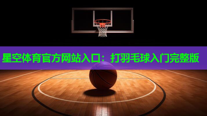 打羽毛球入门完整版 打羽毛球入门完整版