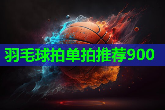 羽毛球拍单拍推荐900 羽毛球拍单拍推荐900
