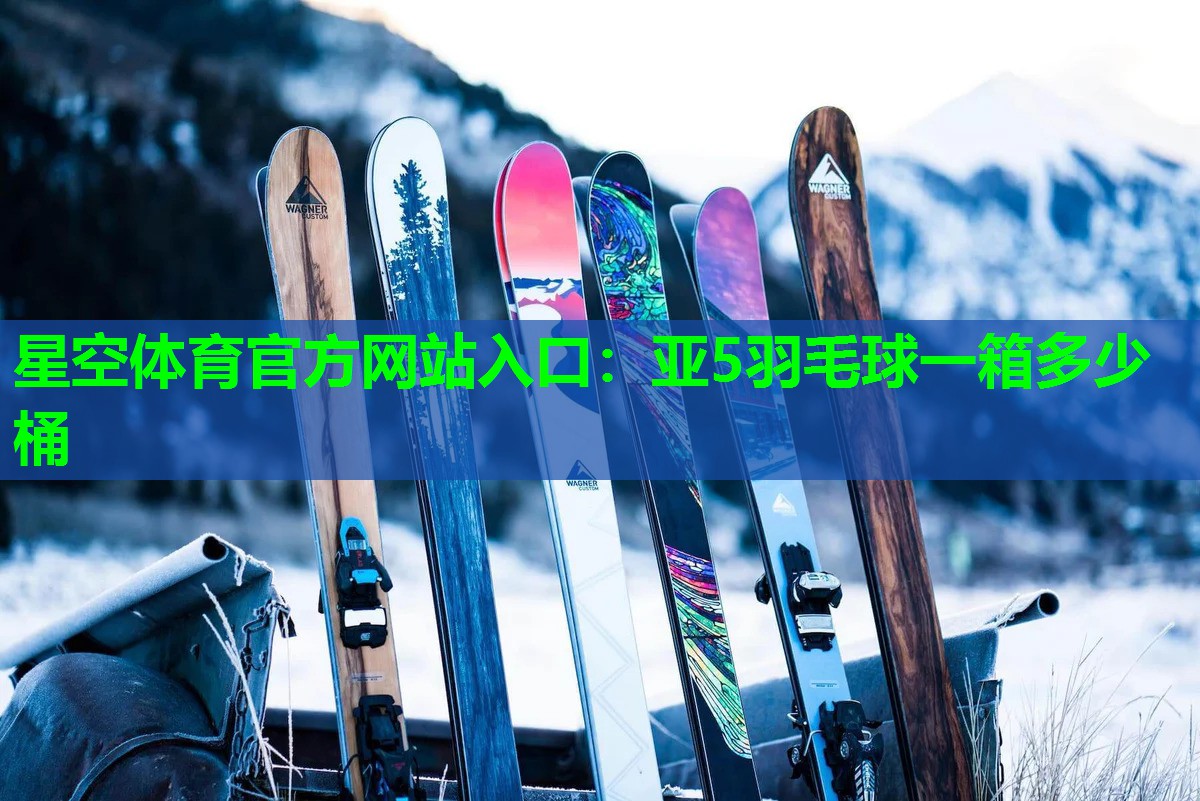 亚5羽毛球一箱多少桶 亚5羽毛球一箱多少桶