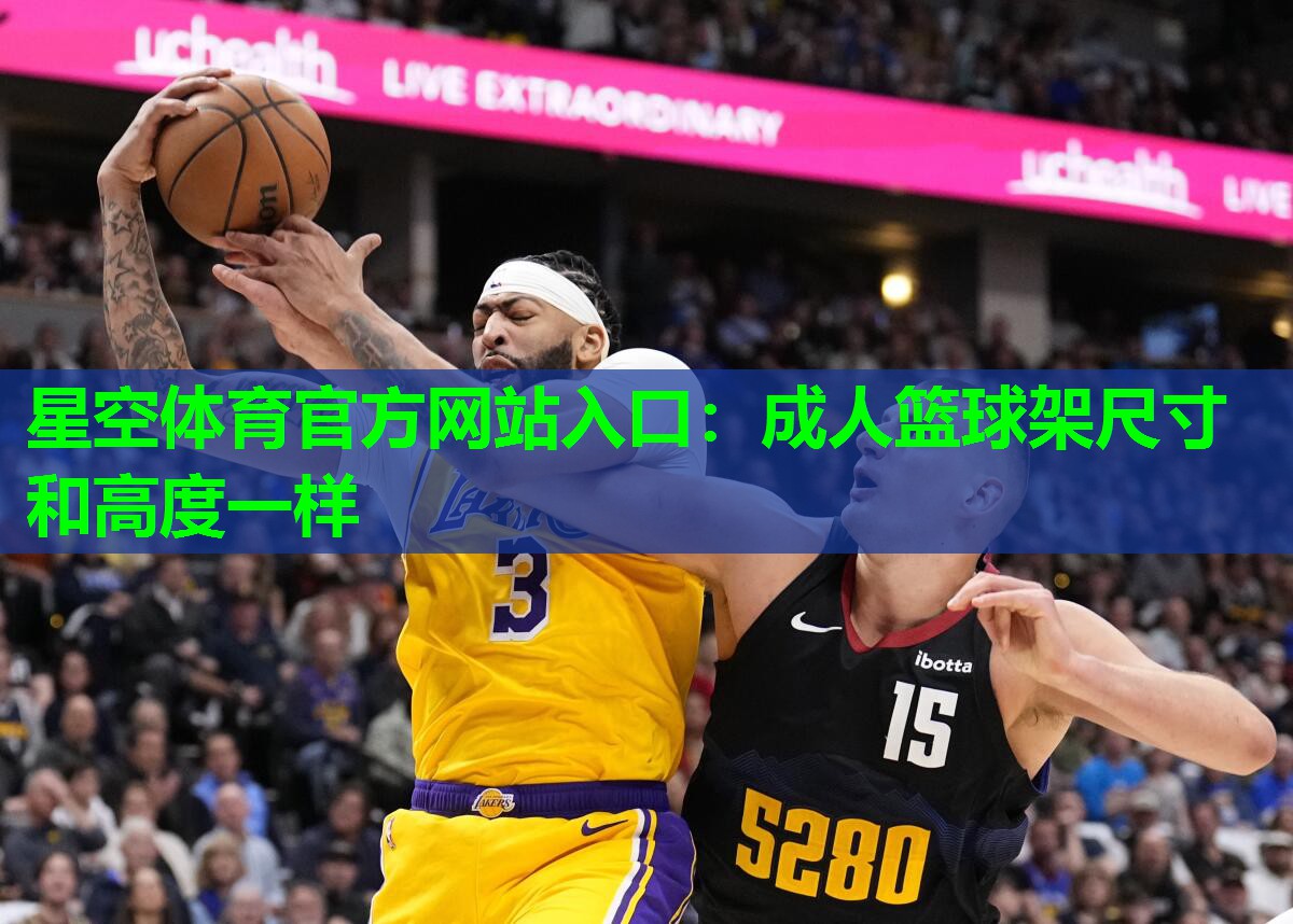 成人篮球架尺寸和高度一样 成人篮球架尺寸和高度一样