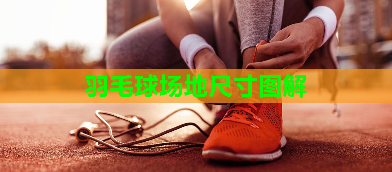 羽毛球场地尺寸图解 羽毛球场地尺寸图解
