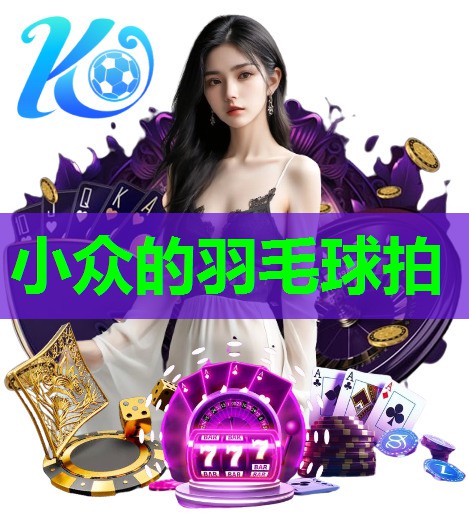 小众的羽毛球拍 小众的羽毛球拍