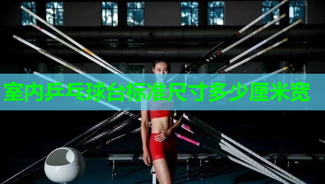 室内乒乓球台标准尺寸多少厘米宽