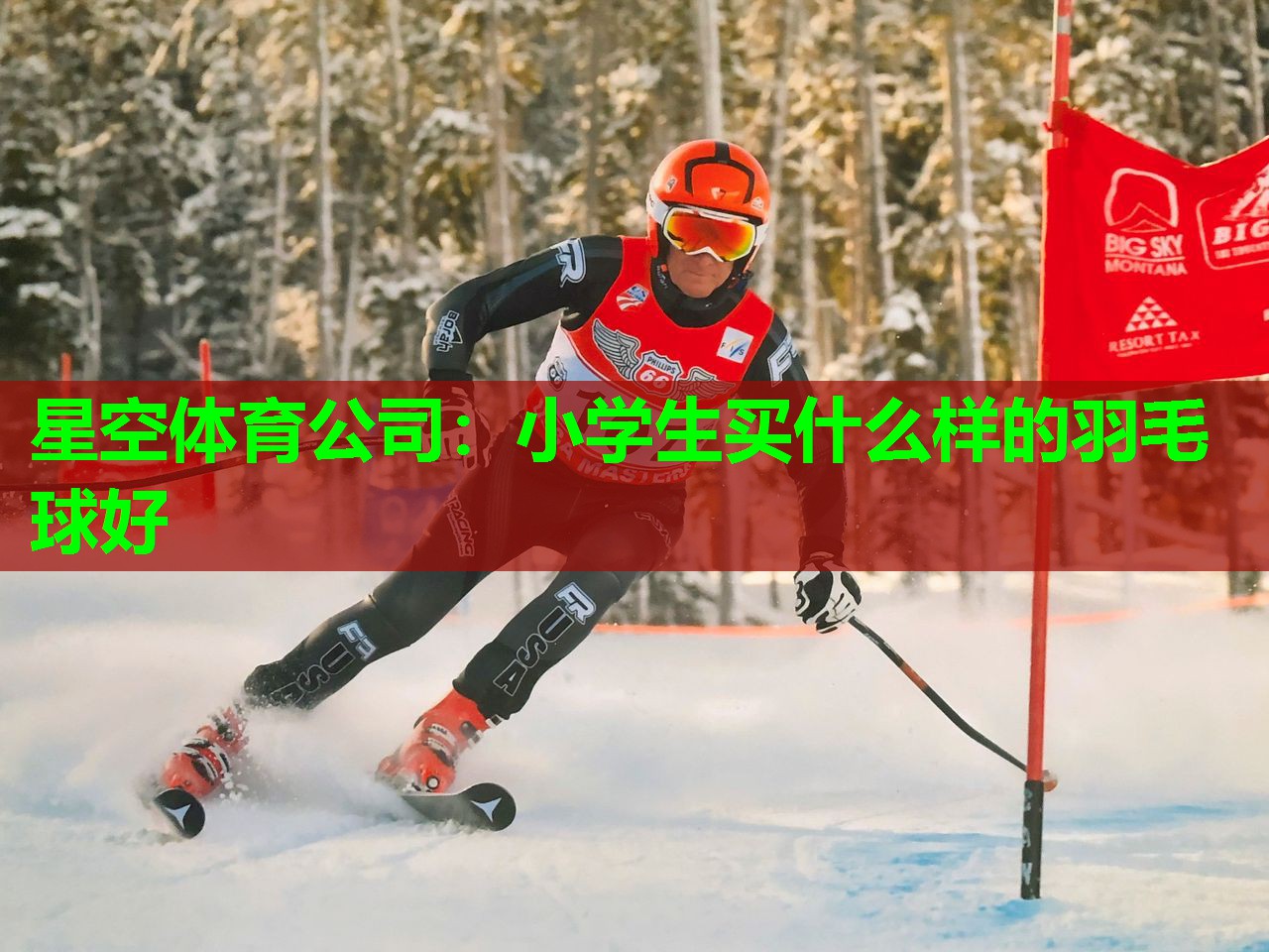 小学生买什么样的羽毛球好 小学生买什么样的羽毛球好